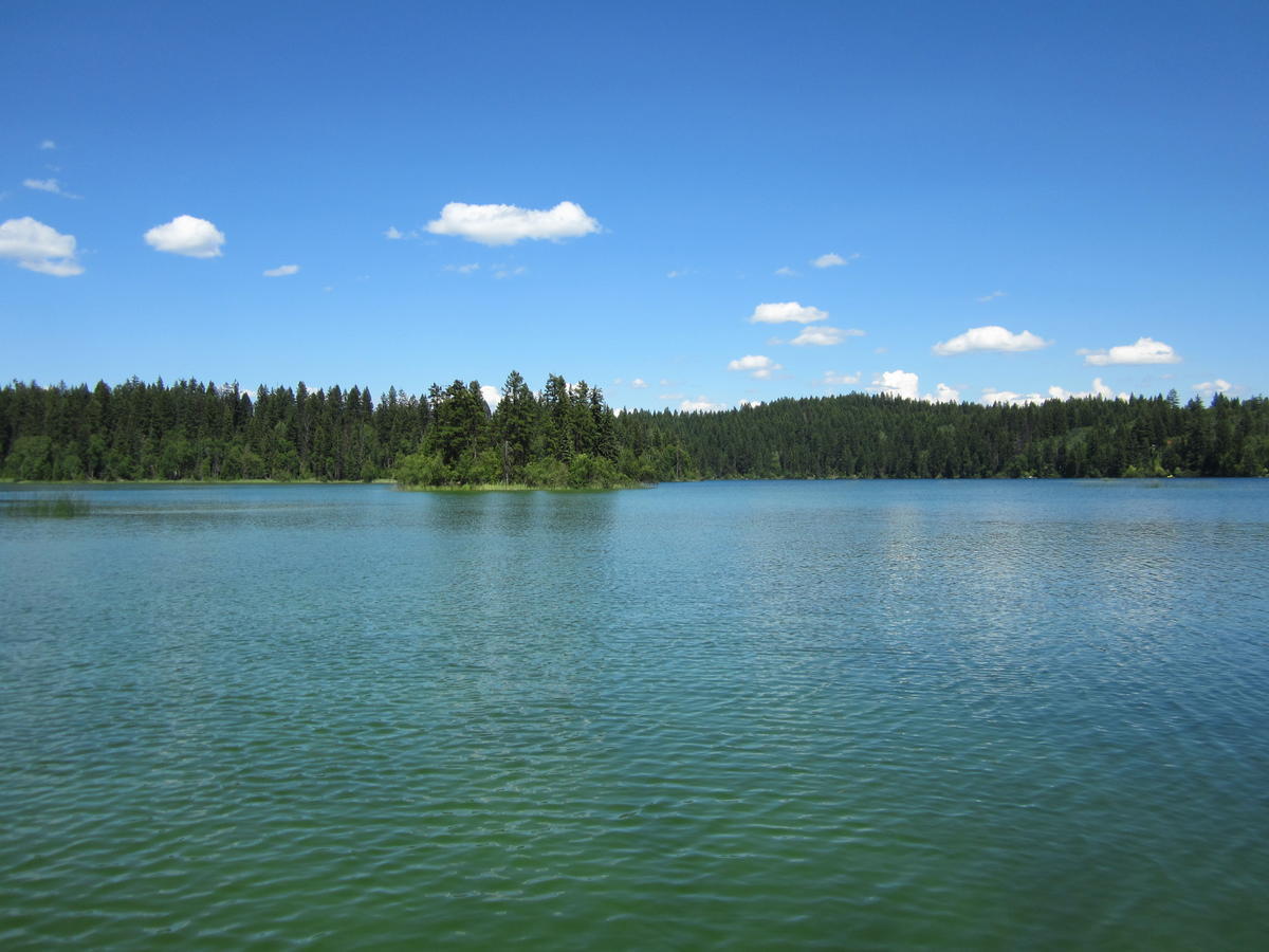 Ruth Lake Lodge Resort Forest Grove Esterno foto