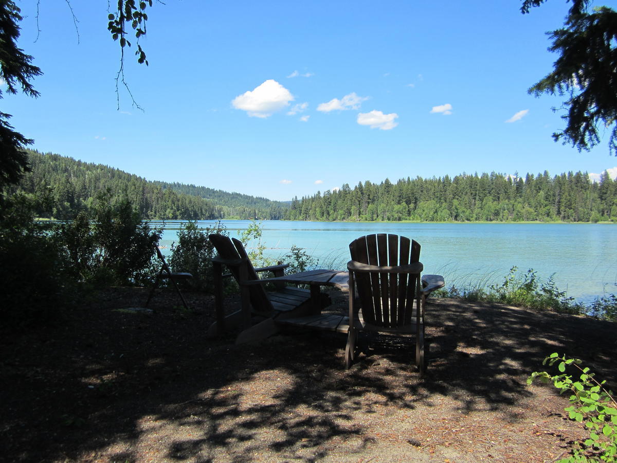 Ruth Lake Lodge Resort Forest Grove Esterno foto