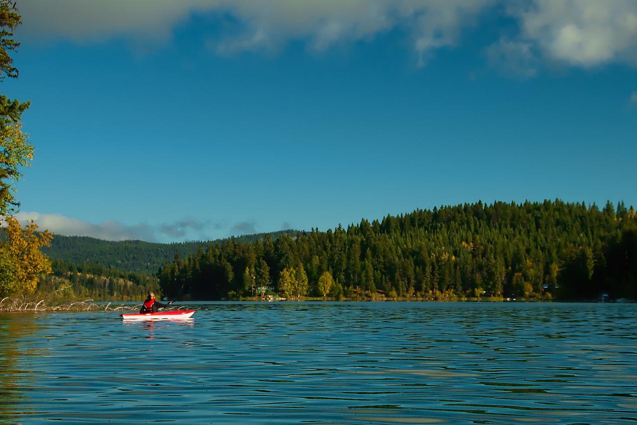 Ruth Lake Lodge Resort Forest Grove Esterno foto