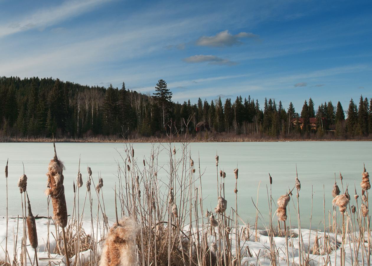 Ruth Lake Lodge Resort Forest Grove Esterno foto